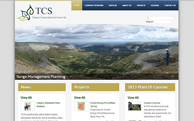tannas-calgary-website-design