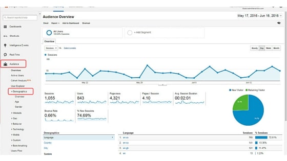 Audience-Demographics-website-analytics