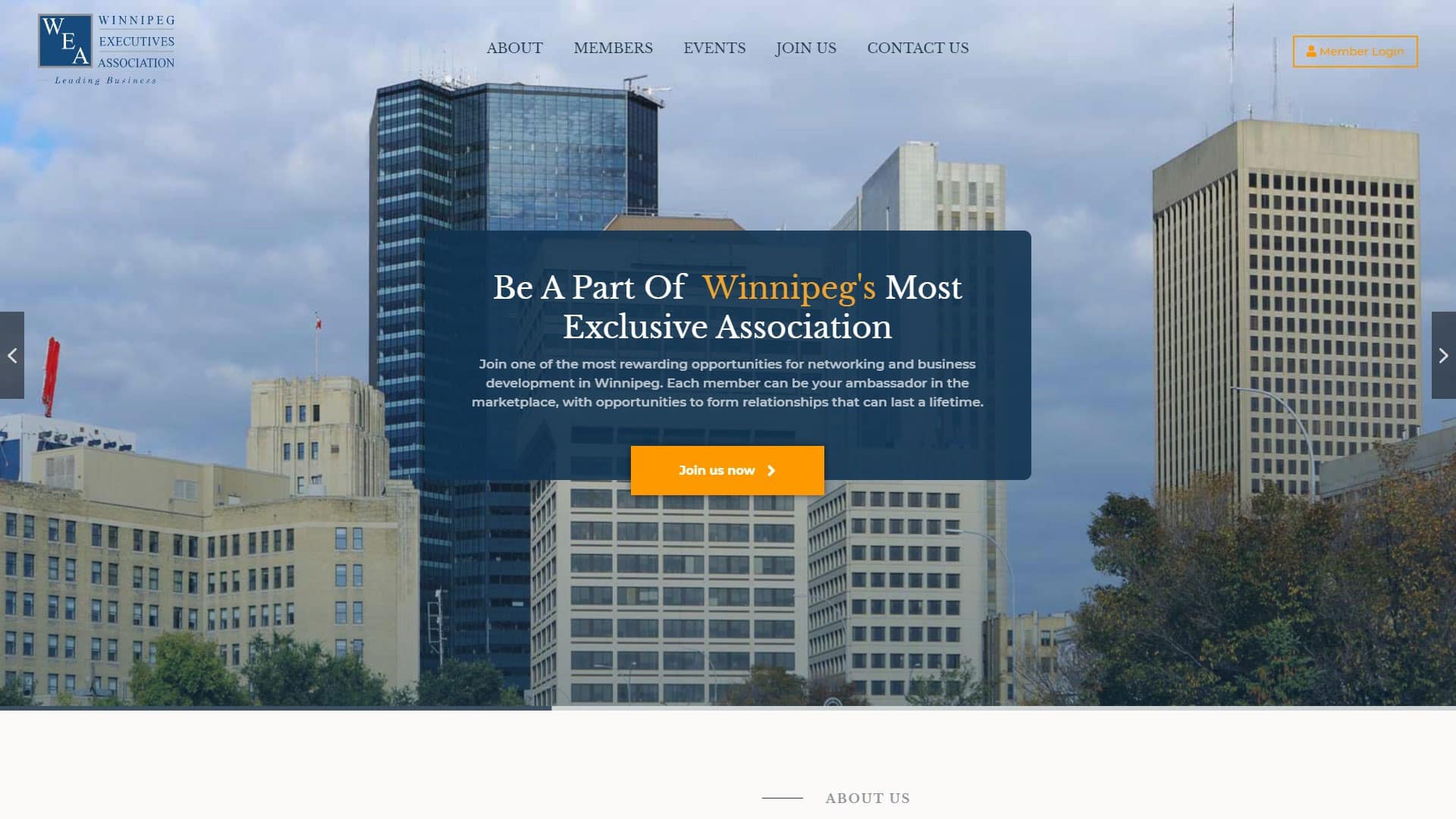 Winnipeg Executives Website Design Project