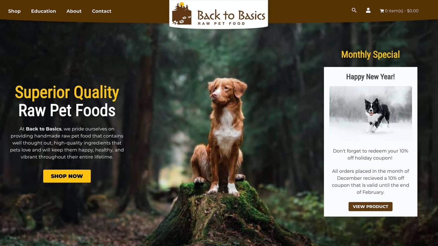 Back to Basics website