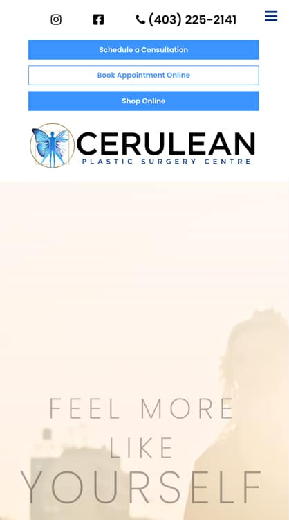 CERULEAN website