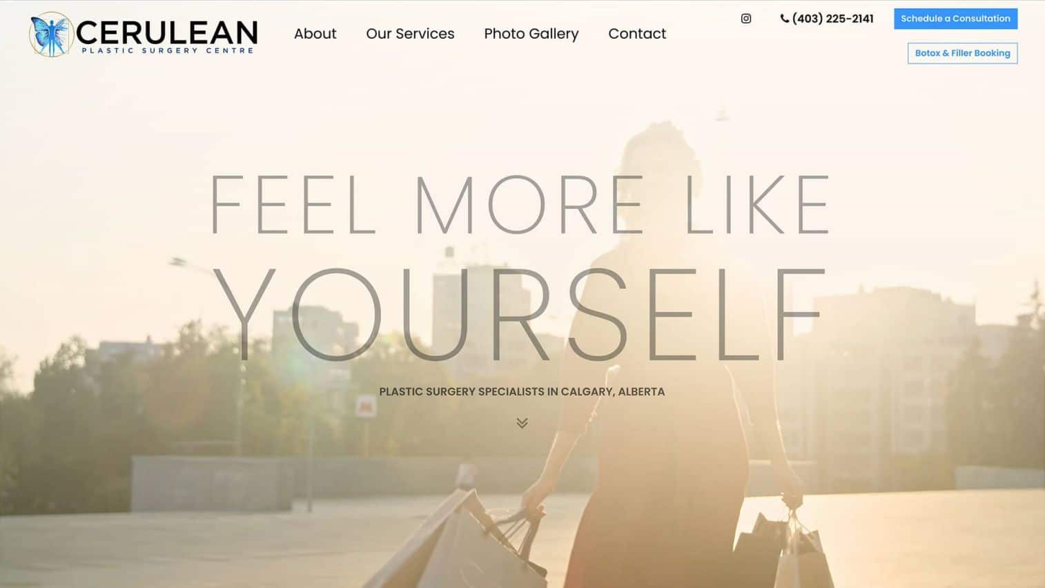 Cerulean Website Design Project