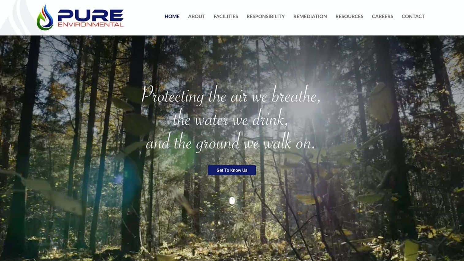 Pure Website Design Project