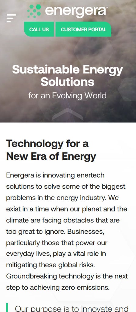 energera website design project