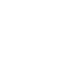 Boim Icon Accessibility