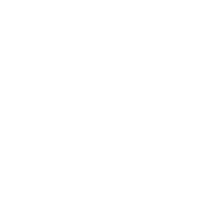 Boim Icon Careers