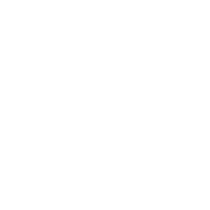 Boim Icon Contentmanagementsystems