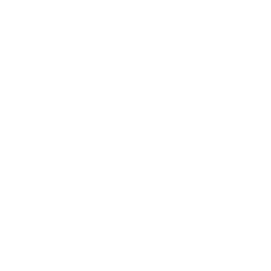 Boim Icon Digitalmarketing