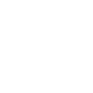 Boim Icon Discovery