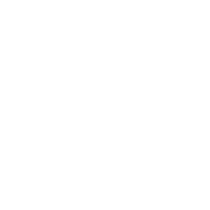 Boim Icon Ourprocess