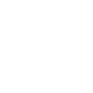 Boim Icon Roi