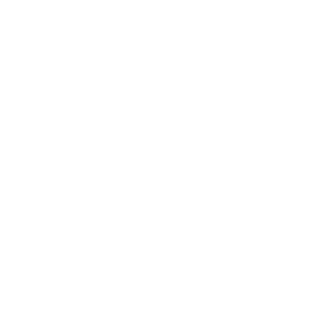 Boim Icon Reportsreporting