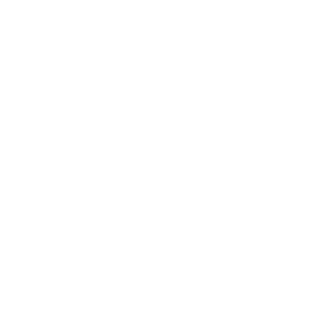 Boim Icon Seo