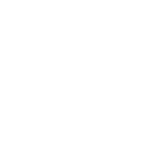 Boim Icon Trustedpartner