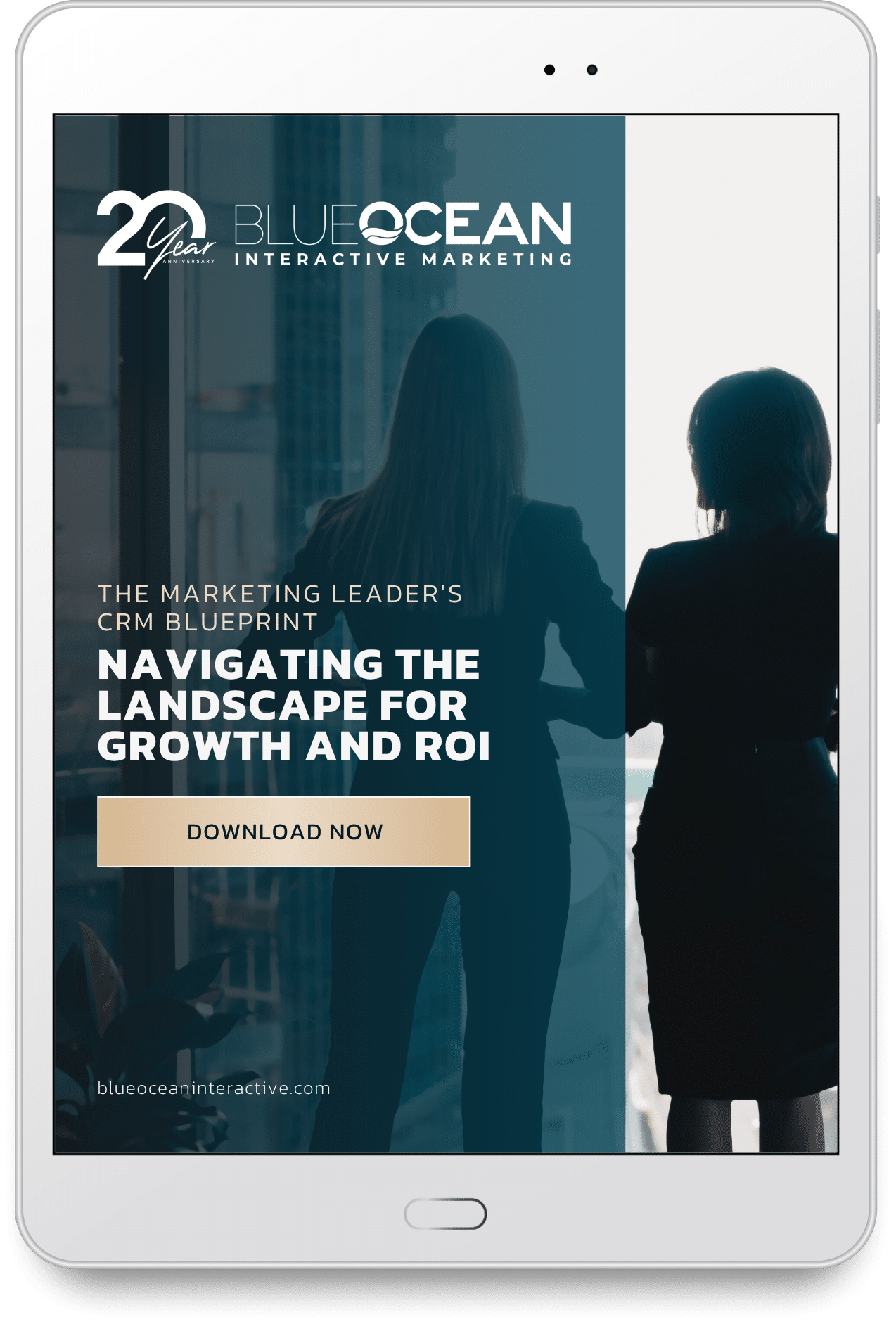 Navigating The Landscape For Growth And Roi 2026